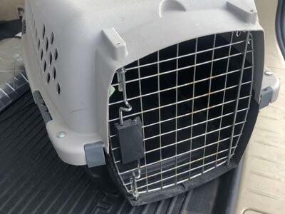 Cat Carrier