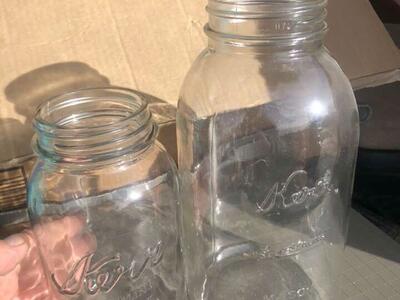 Canning Lids