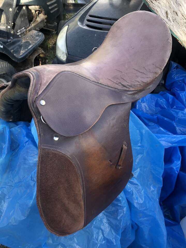 Saddle