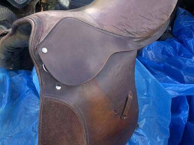Saddle