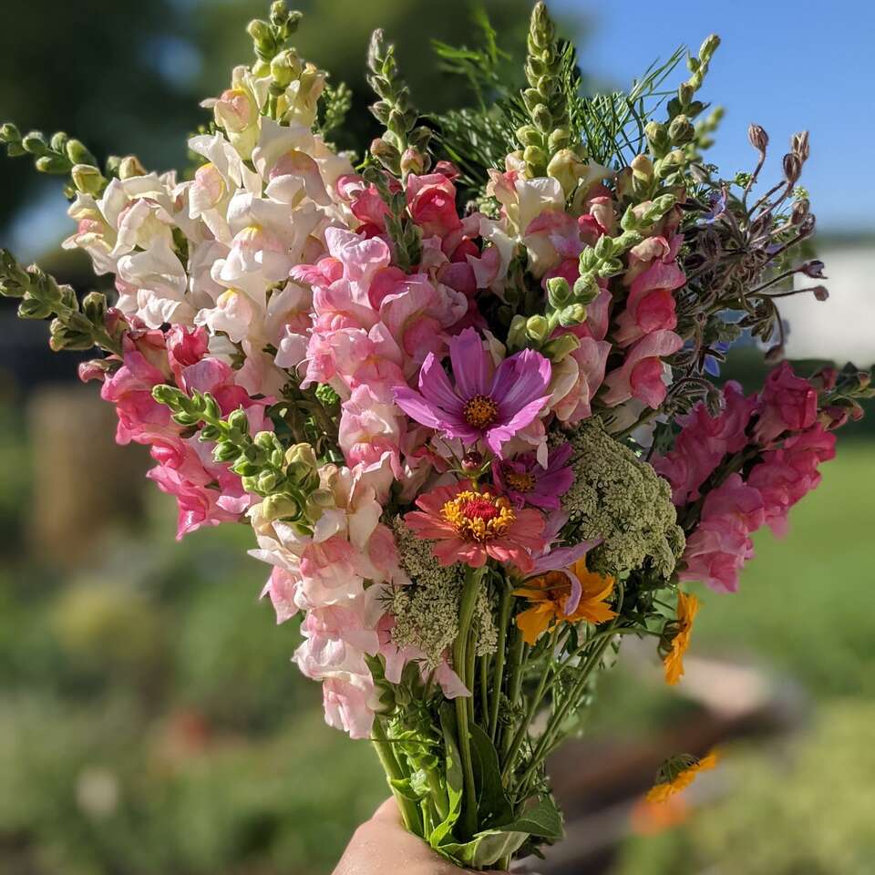 Local Fresh Cut Flowers Bouquet