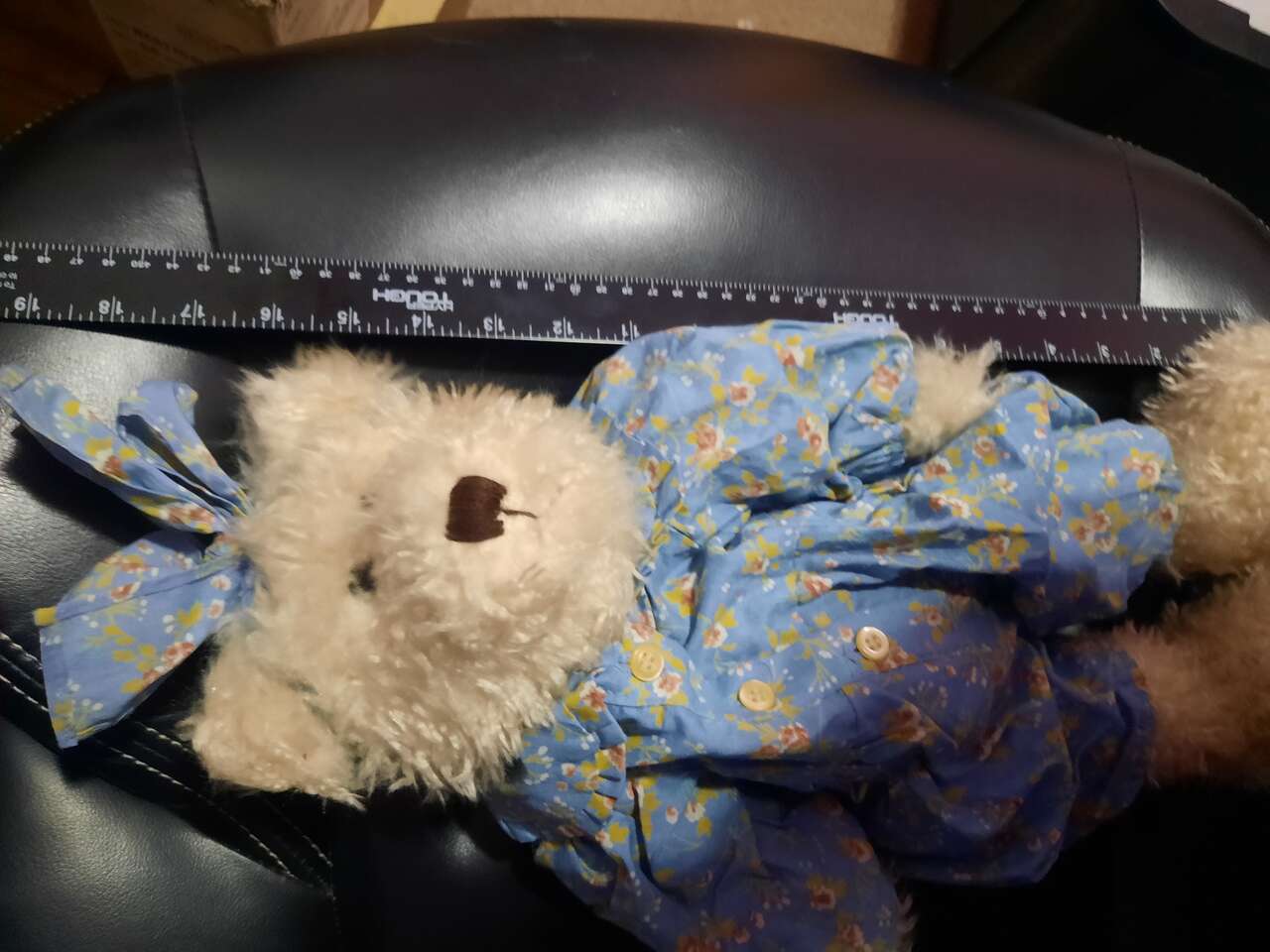 collectible Boyd's bear