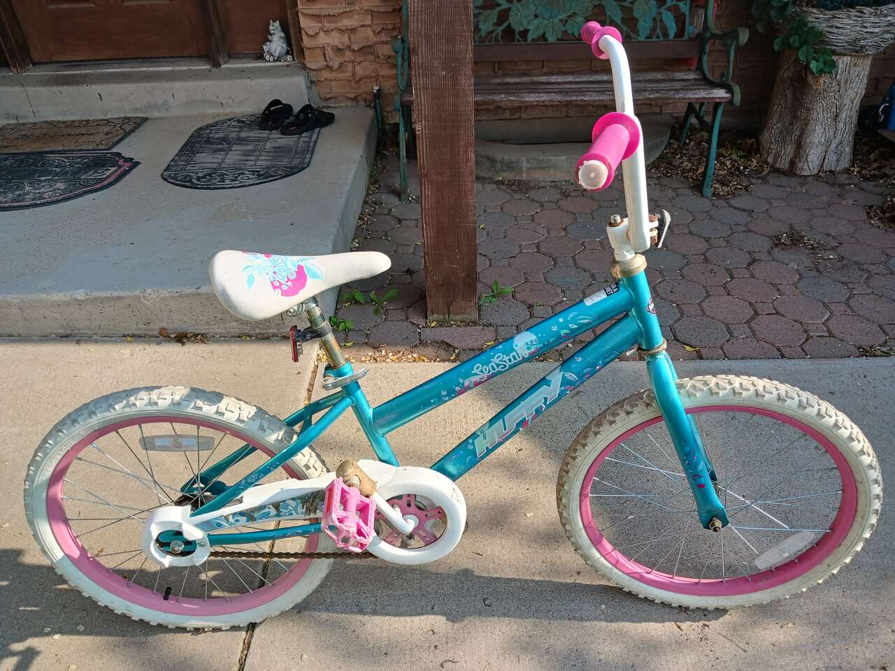 Girls Bike 20in