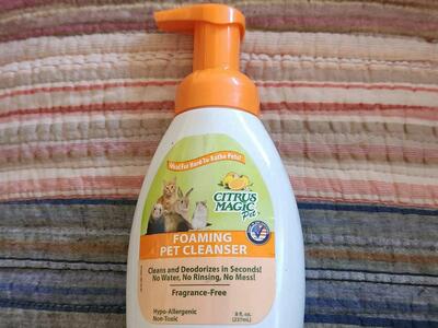 Foaming pet cleanser