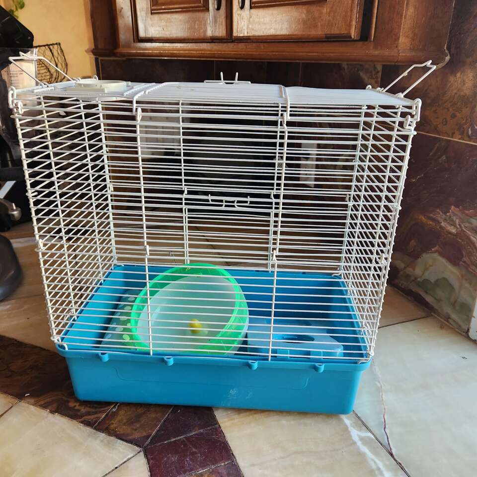 Cage, shelf, wheel, waterer