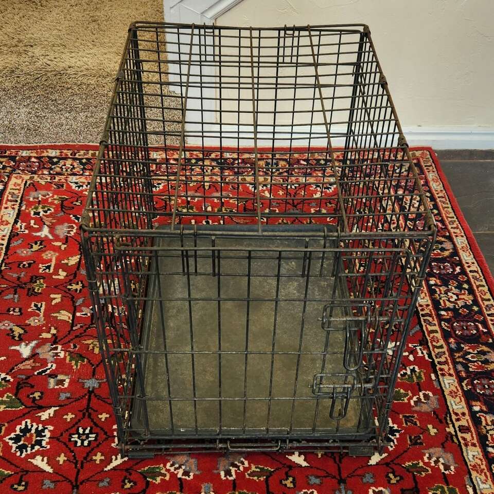 Medium Collapsing Home Dog Training Crate