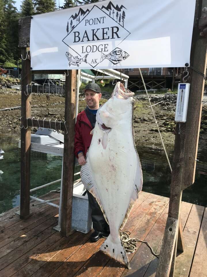 Halibut Lure That Catches The Big Ones