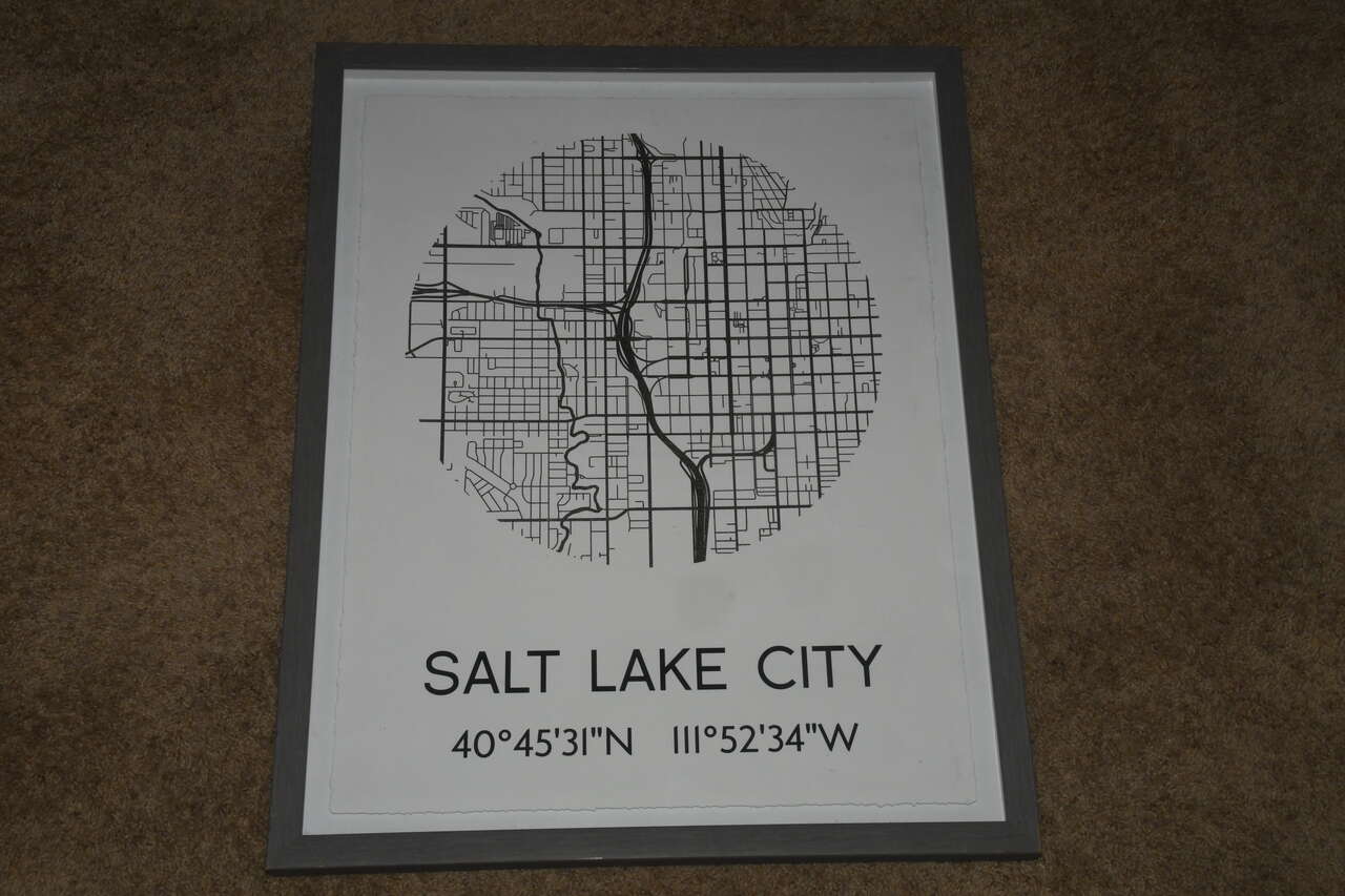 SALT LAKE CITY PICTURE ~ 20" x 25" FRAMED ~ SILVER MAP ~ GRAY FRAME ~ NICE!