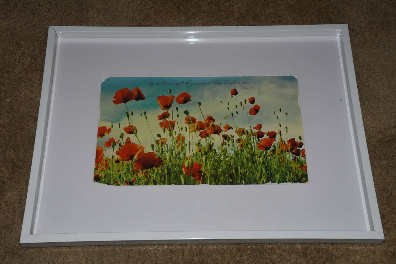 LARGE POPPY PICTURE ~ 22" x 31" FRAMED ~ "BY SMALL & SIMPLE THINGS ARE GREAT THINGS BROUGHT TO PASS" ALMA 37:6 ~ NICE!