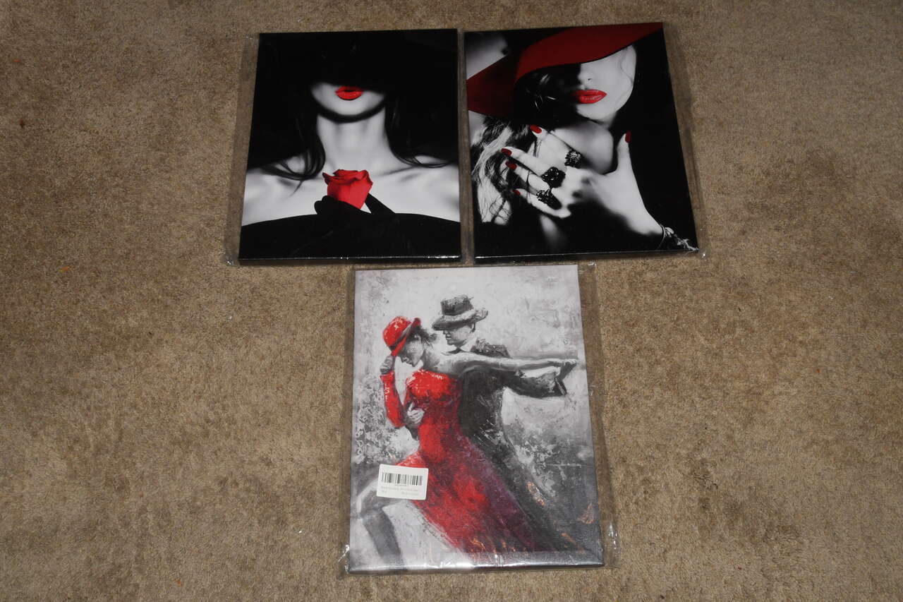 3 NEW CANVAS PICTURES ~ 12" x 16" ~ BLACK & WHITE ~ RED LIPSTICK, ROSE & DRESS