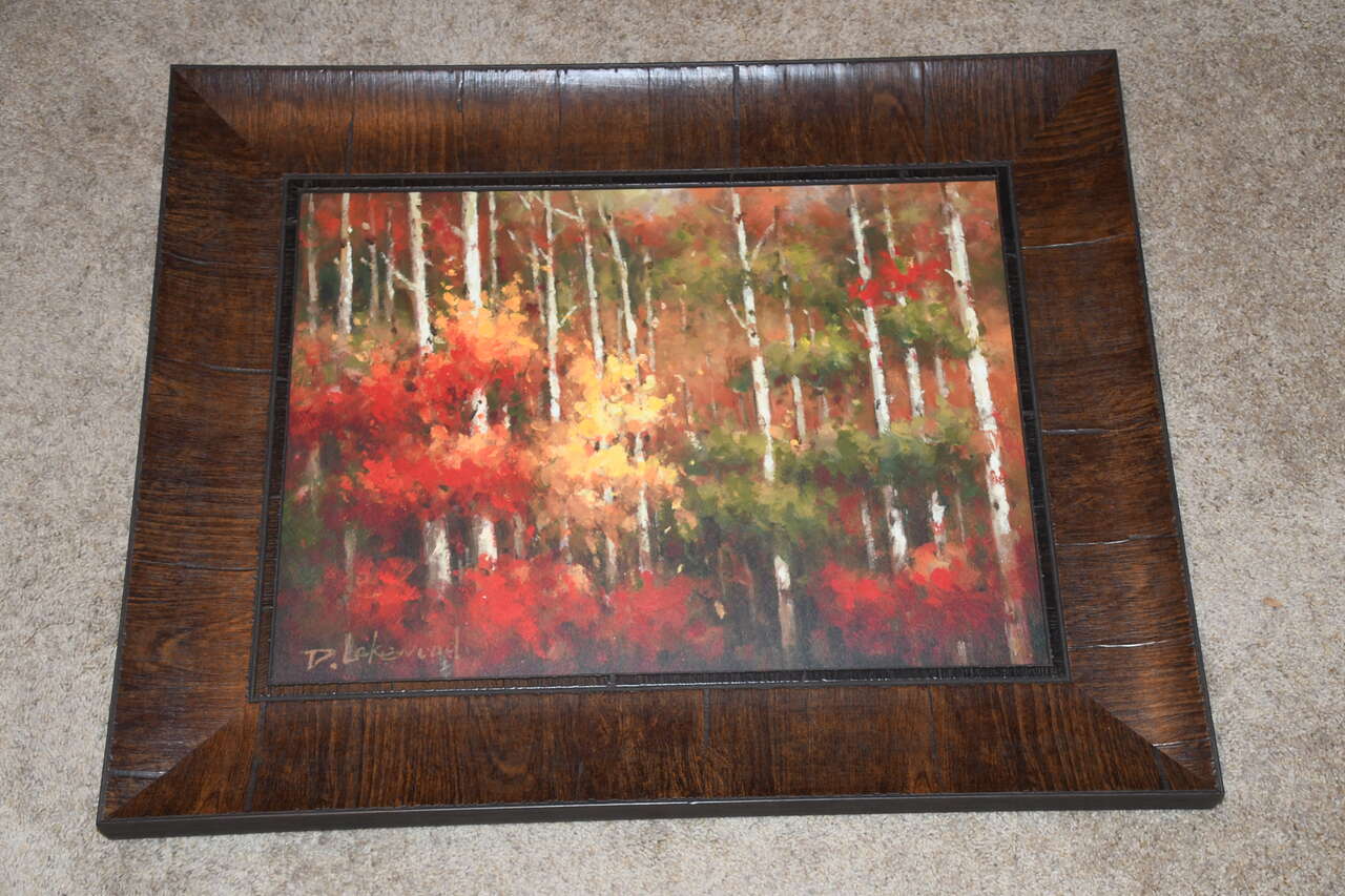 BEAUTIFUL "QUAKING ASPEN TREES" PICTURE ~ D LAKEWOOD ~ 26" x 32" FRAMED ~ REALLY NICE!