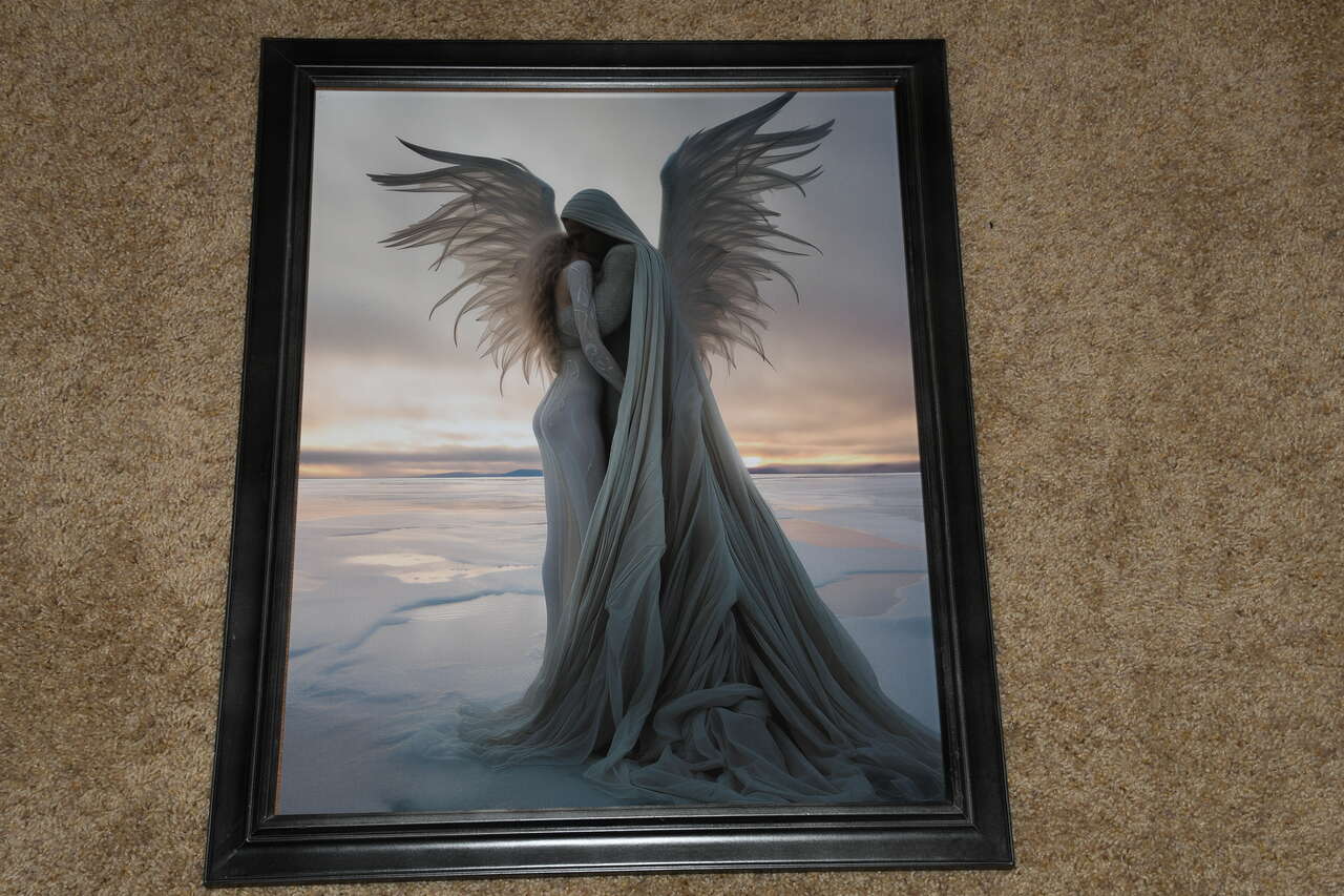 BEAUTIFUL"ANGEL WINGS" Picture ~ 18" x 22" FRAMED
