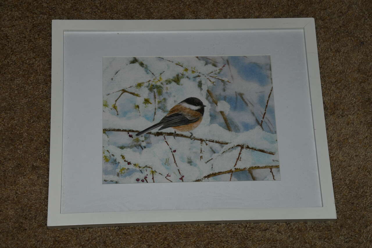 "CHICKADEE in SNOW" Picture ~ 12" x 15" FRAMED ~ NICE!