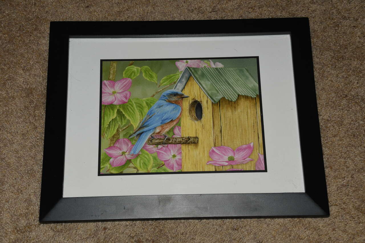 "BLUEBIRD in SPRING" Picture ~ 13" x 16" FRAMED ~ NICE!