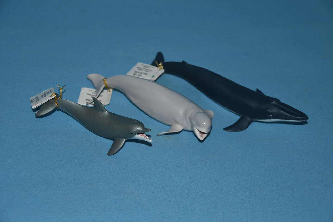 3 TUTORING TOYS ~ PLAYING DOLPHIN ~ BLUE WHALE CALF ~ BELUGA WHALE ~ REALISTIC DETAIL ~ NEW