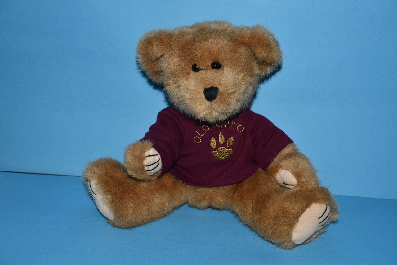 VINTAGE 1998 "THEODORE" TEDDY BEAR ~ WISHPETS ~ OLD NAUVOO SHIRT ~ LDS