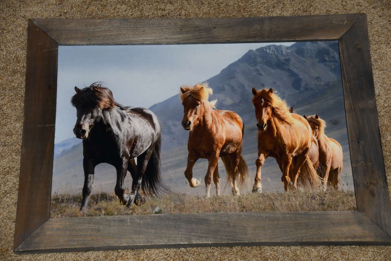 "RUNNING HORSES" PICTURE ~ WOOD FRAME ~ TEXTURED PRINT ~ 15" x 20" FRAMED