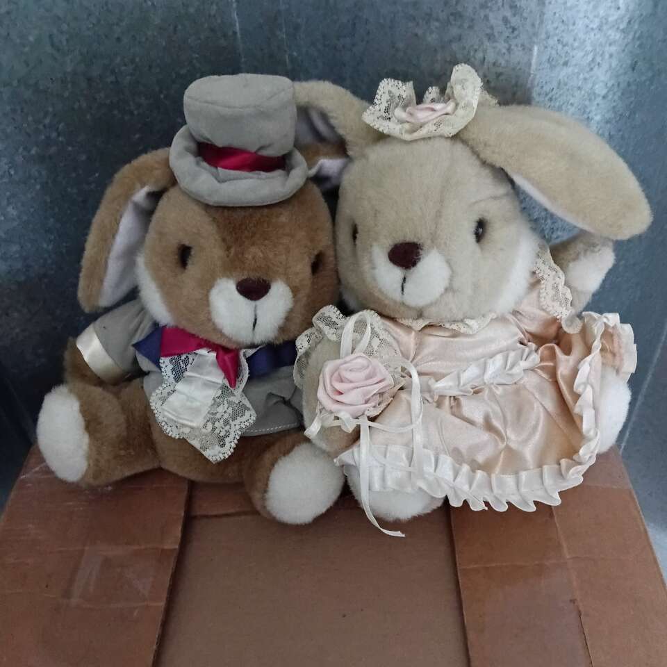 * Bride & Groom Bunnies *