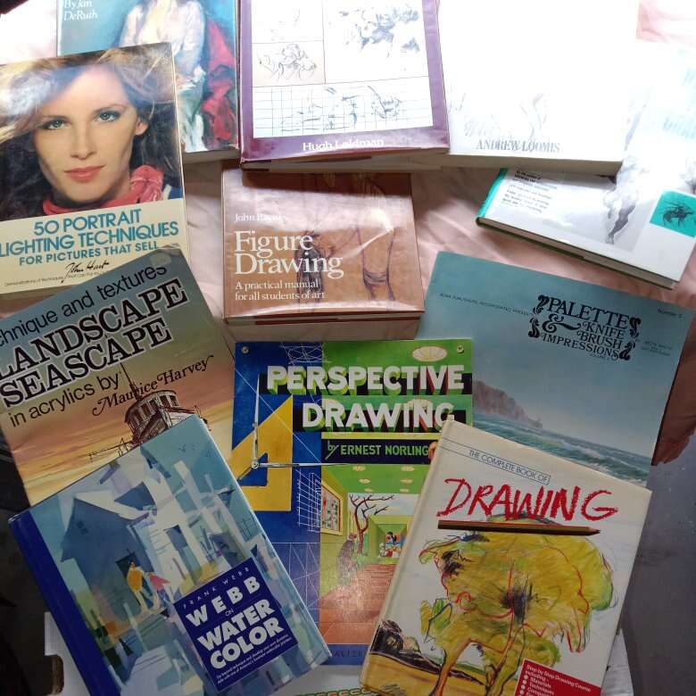 Collection of How to Drawing Books & Art Books