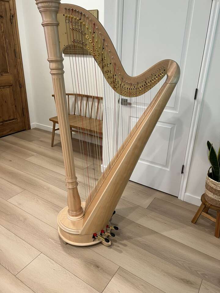 Pedal Harp