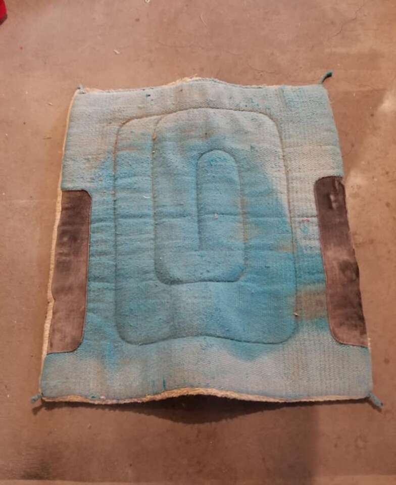 Horse Saddle Pad & Blanket