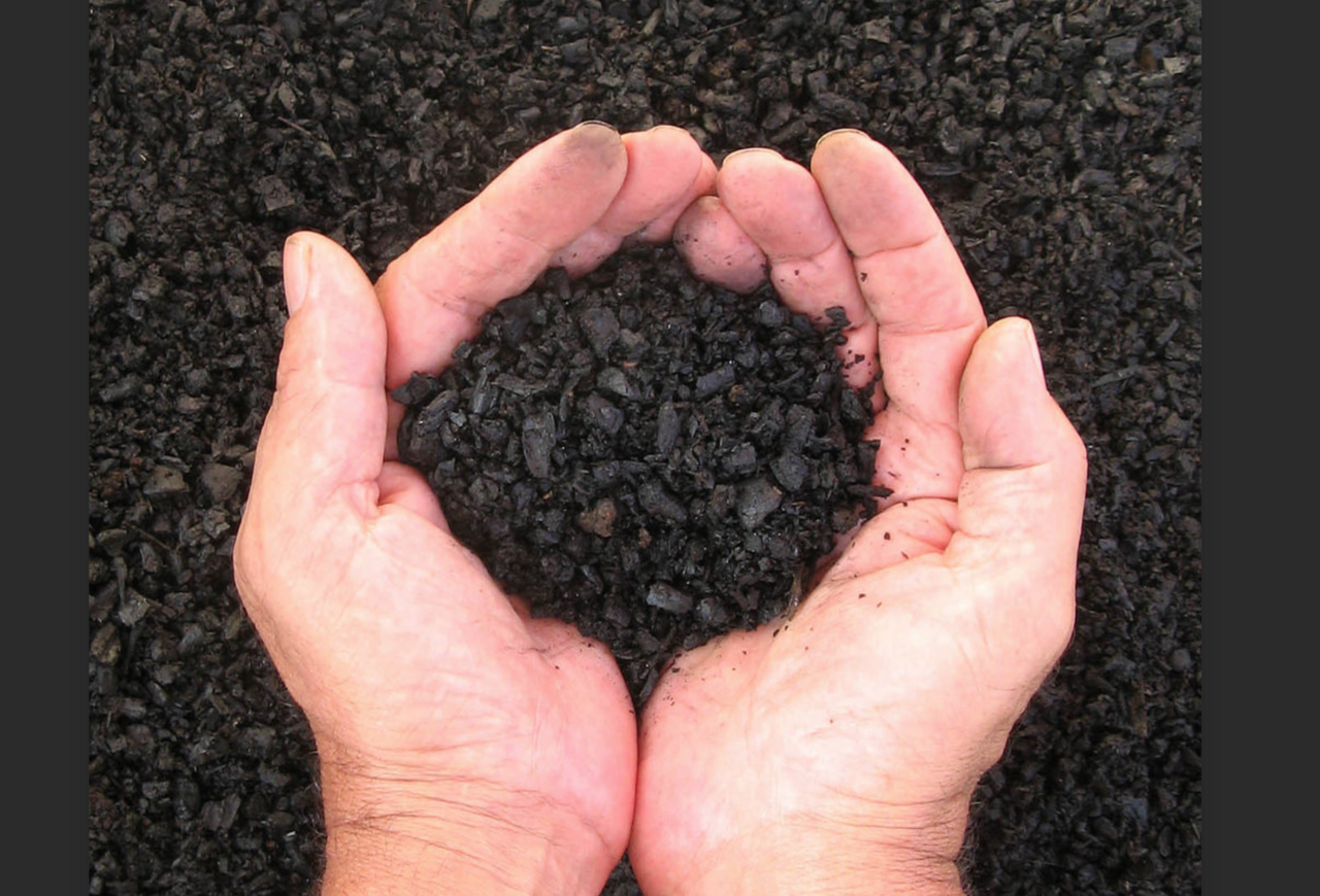 THE PERFECT SOIL FOR YOUR POTTED PLANTS.