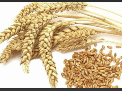 I WILL TAKE YOUR OLD WHEAT AND OLD FOOD STORAGE.
