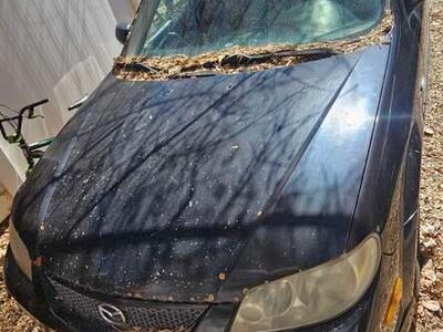 2003 Mazda Protege 5