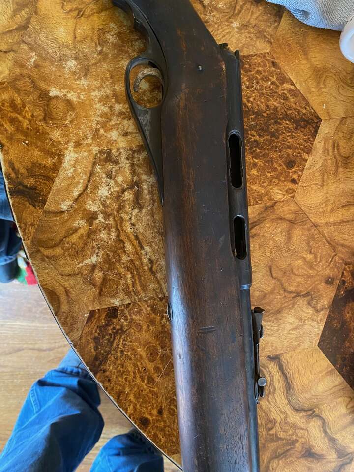 ISO Wards Western Field 22lr semi-auto parts