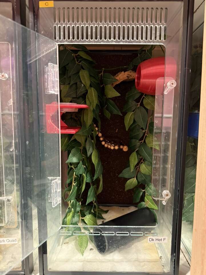 NEW Reptile Supplies