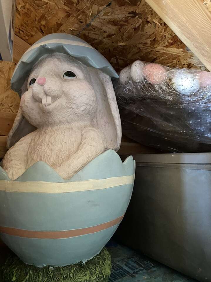 Easter Bunny