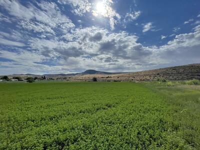 Glenwood 5 Acres (Sevier County)