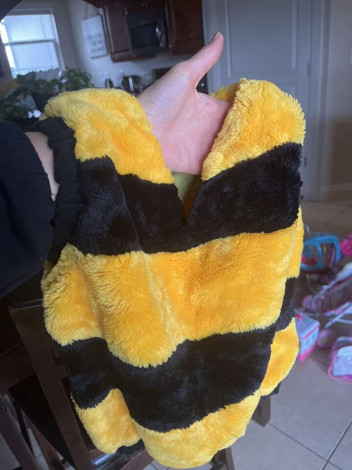 Honeybee Costume