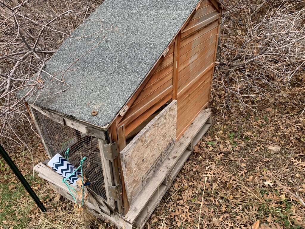 Chicken Coop Free FREE