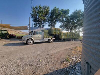 2nd crop 2 string alfalfa small bales