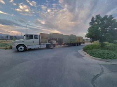 3x4x8 Alfalfa Hay bales