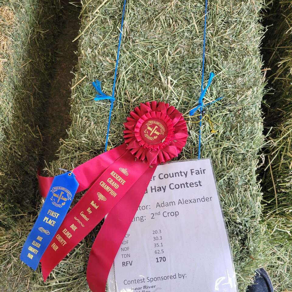 Alfalfa hay 2nd crop hay