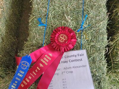 Alfalfa hay 2nd crop hay