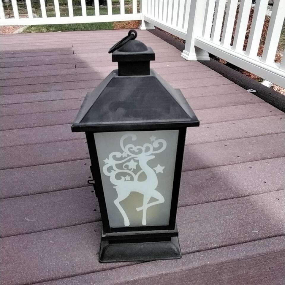 Decorative holiday light