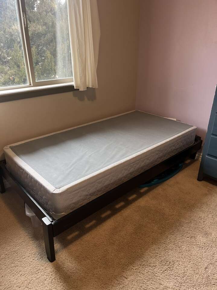 Twin Bed Frame And Box Spring Furniture