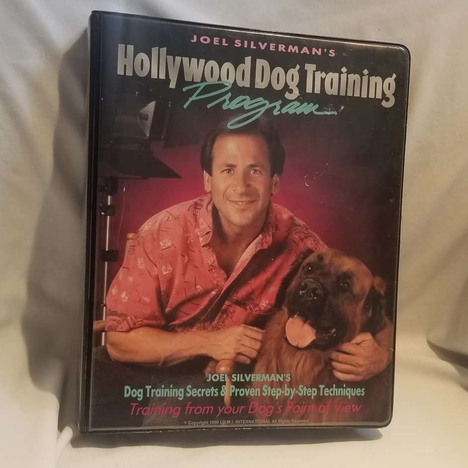 Hollywood Dog Training Program