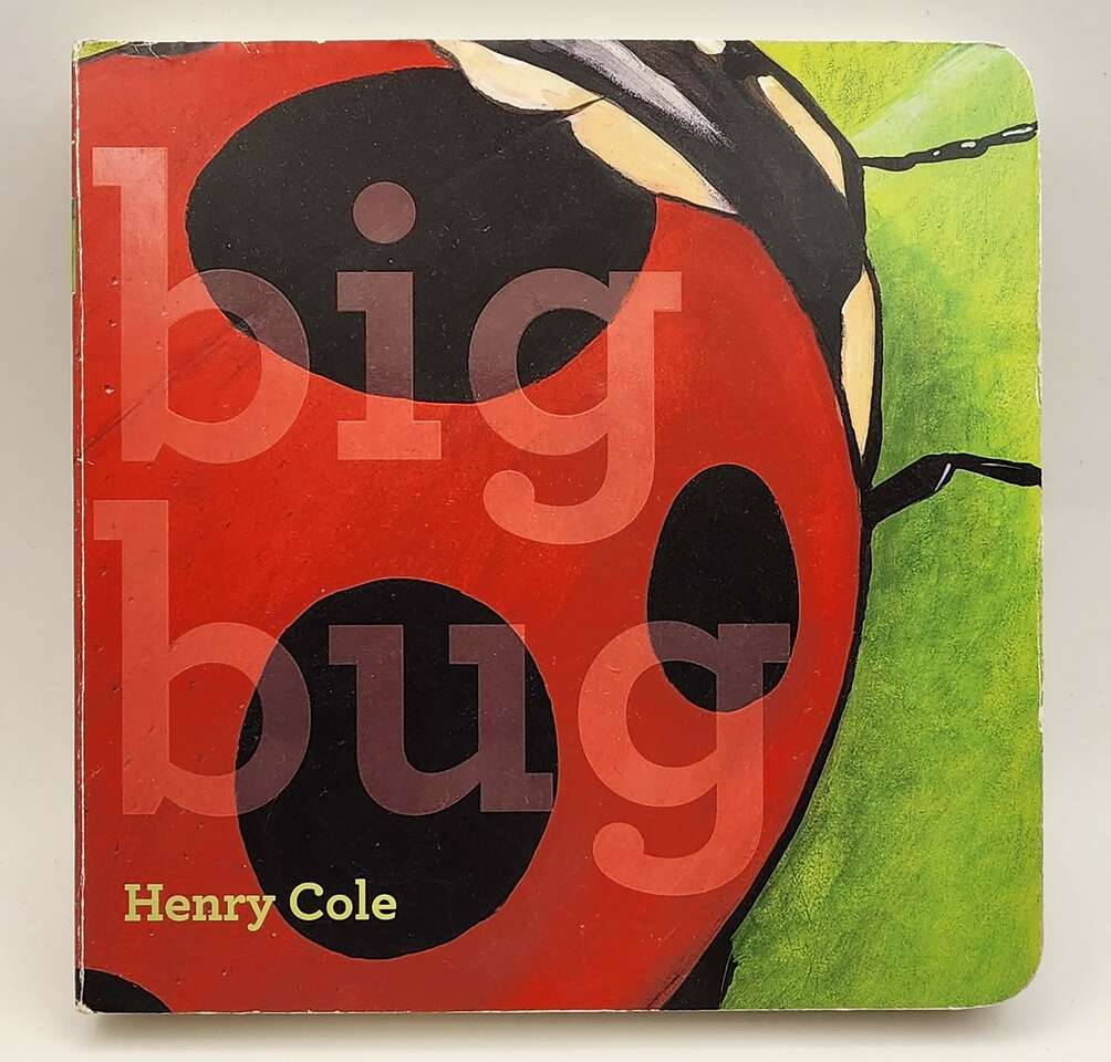 Big Bug Book