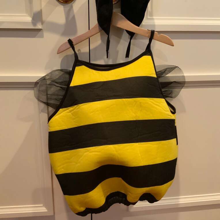 Honey Bee Costume