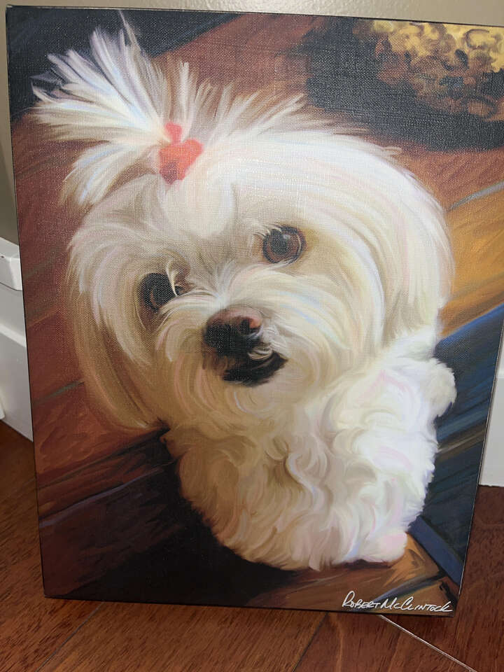 Robert McClintock Mini Maltie Canvas Wrap Painting - $195