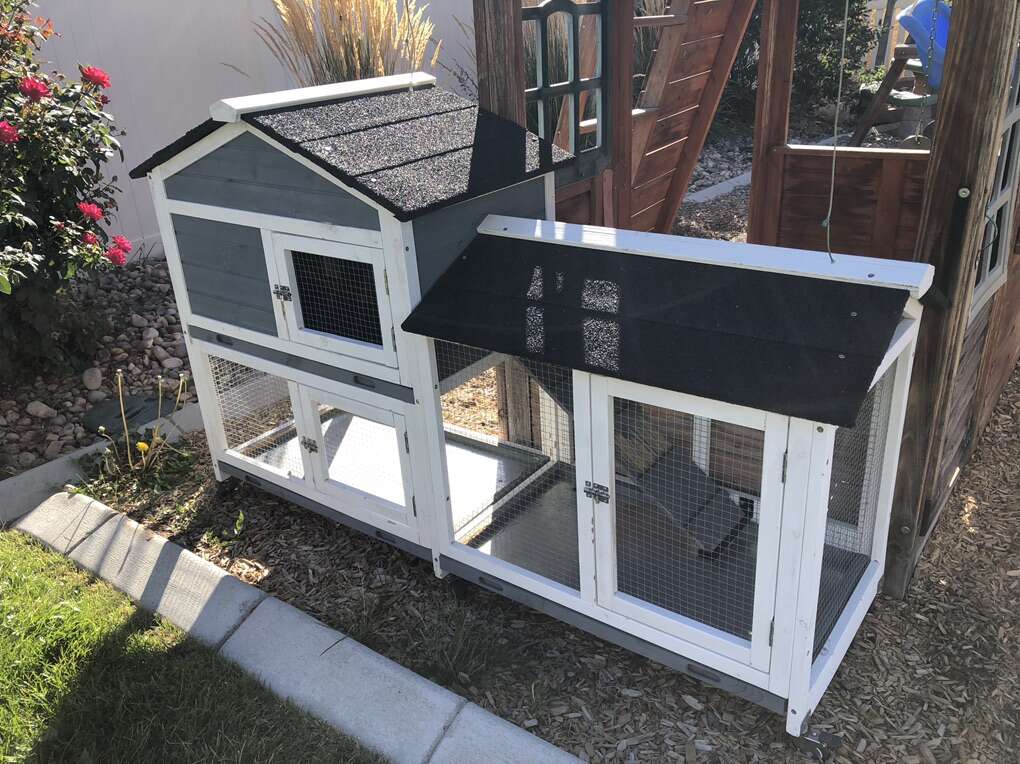 Rabbit Hutch/Chicken Coop Pets