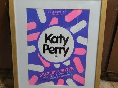 Katy Perry 2011 tour framed poster