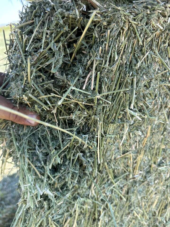 3x3 Alfalfa Hay
