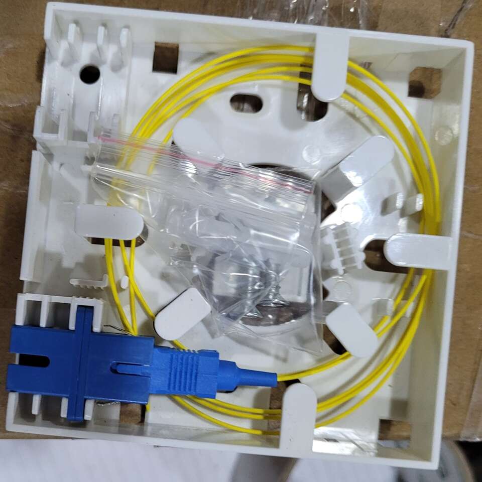 20 PCS/lot 2 Port SC Fiber Termination box