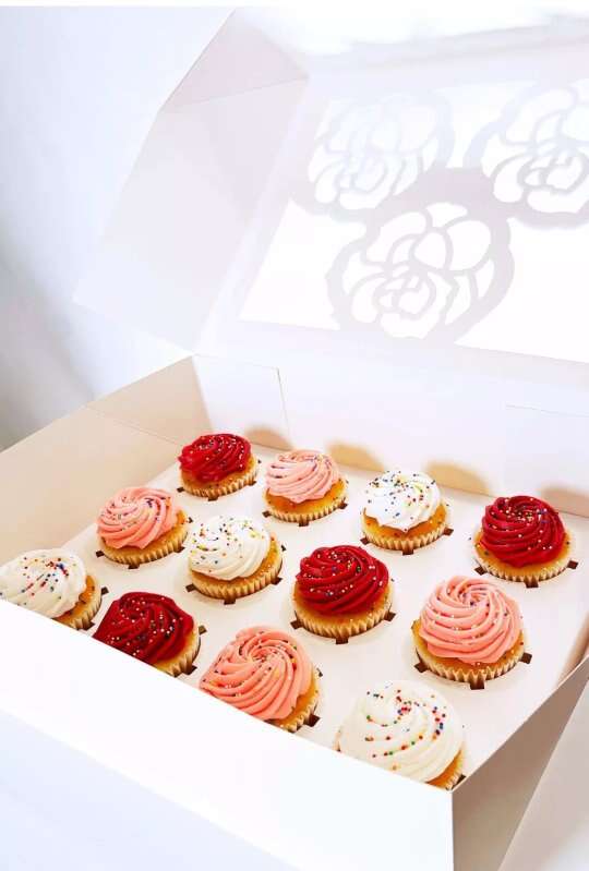 10 Pack Window Bakery Boxes Cake Donut Cupcake Box