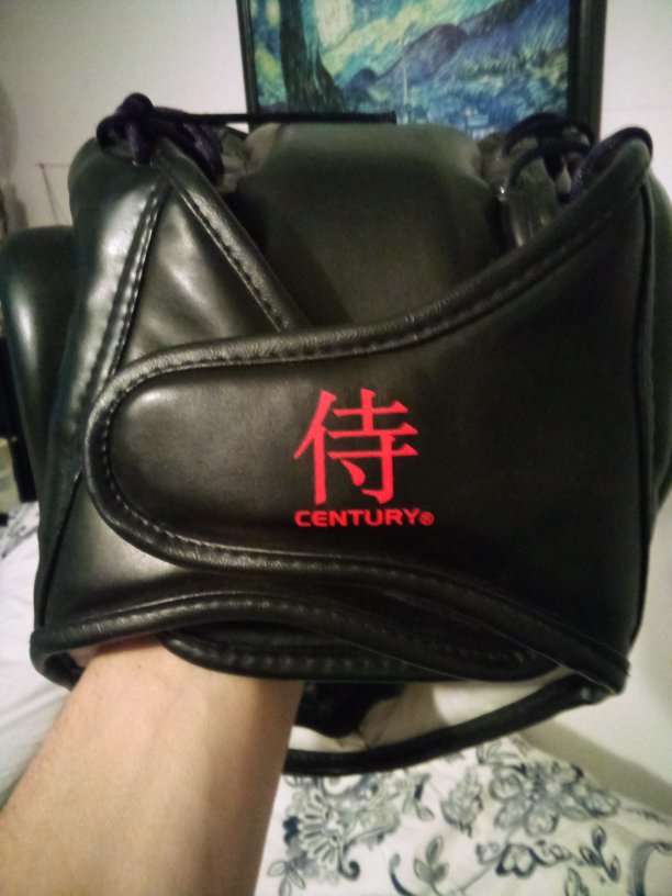 Head gear for sparring